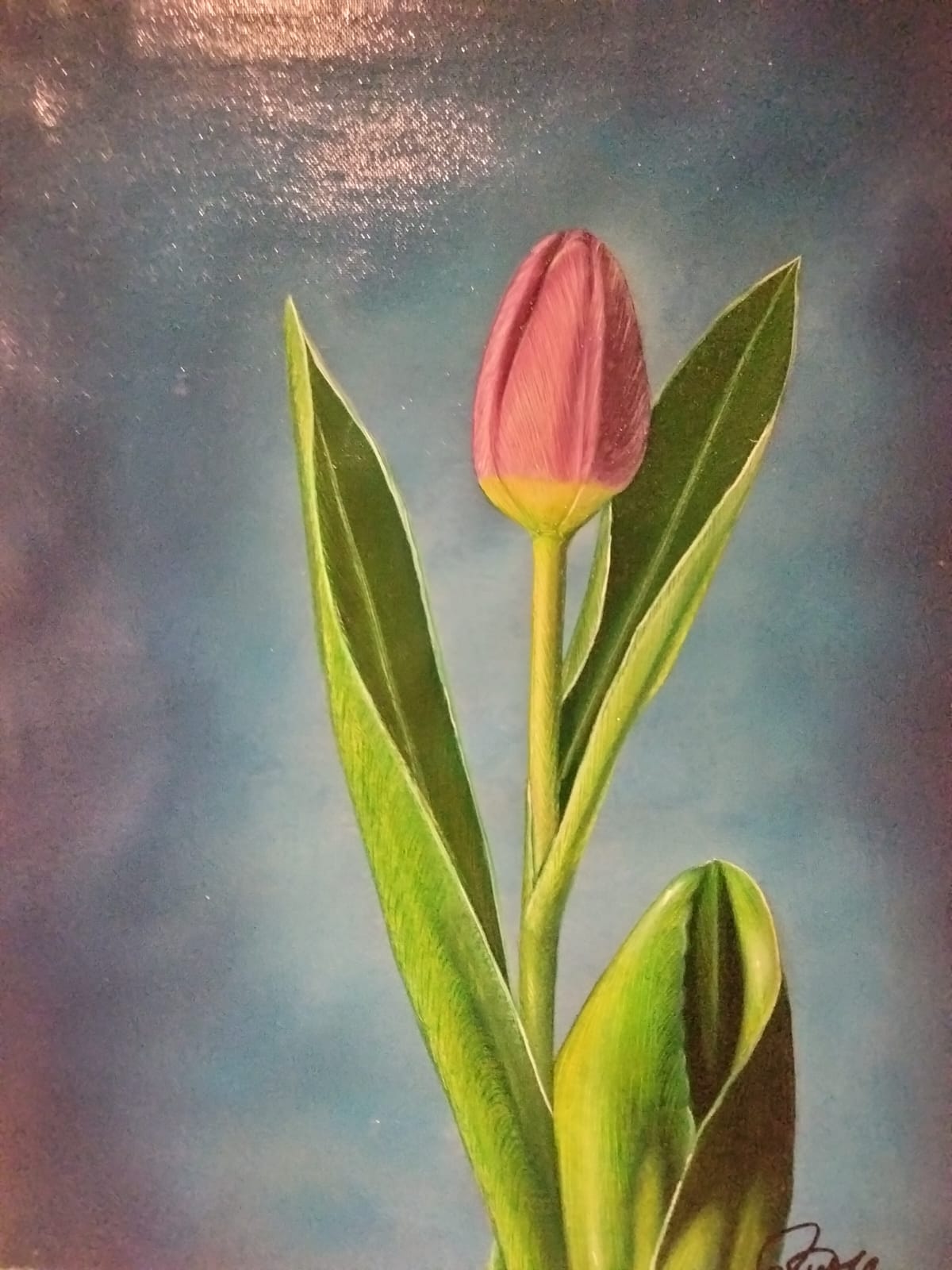 Lienzo al oleo , Tulipanes