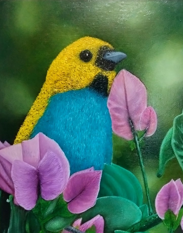 TANGARA CORONIDORADA LIENZO AL OLEO