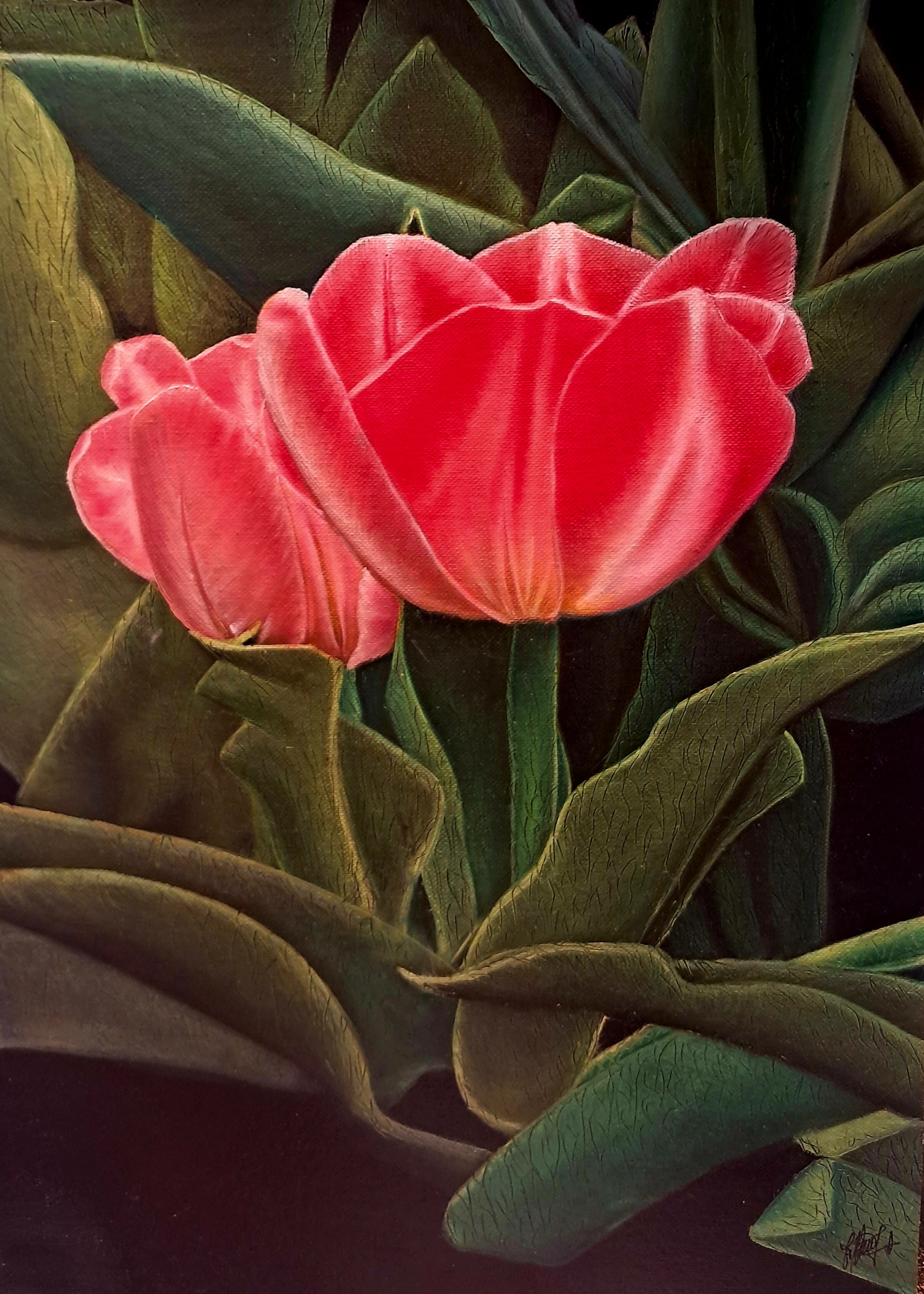 Fragancia de un jardín