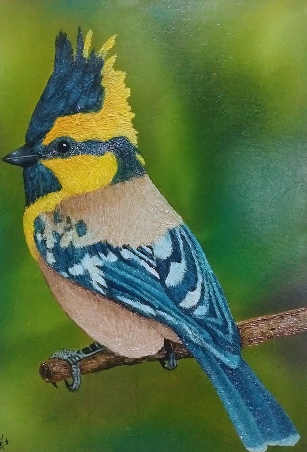 BARBUDO CRESTADO  LIENZO AL OLEO