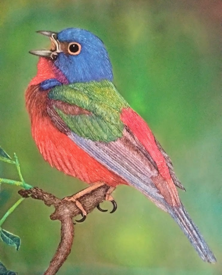 AZULILLO DE COLORES DOS LIENZO AL OLEO
