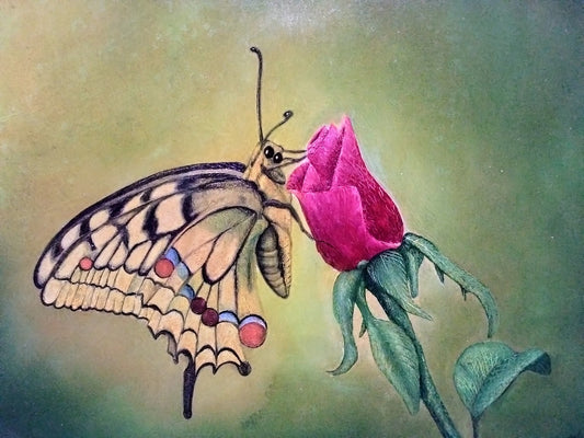 BOCCIOLO DI ROSA Y FARFALLA     LIENZO AL OLEO