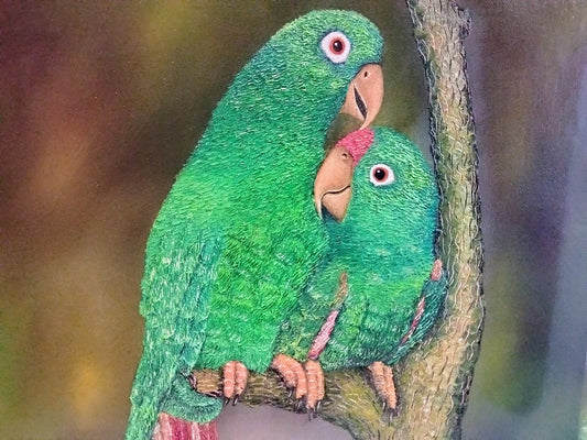 COPIA DE LOROS    LIENZO AL OLEO