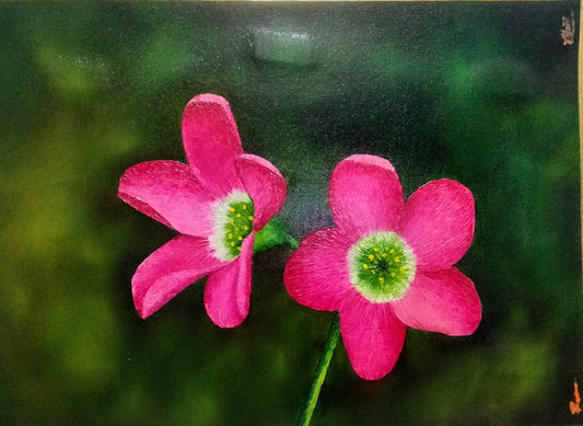 DUO DE COLOR