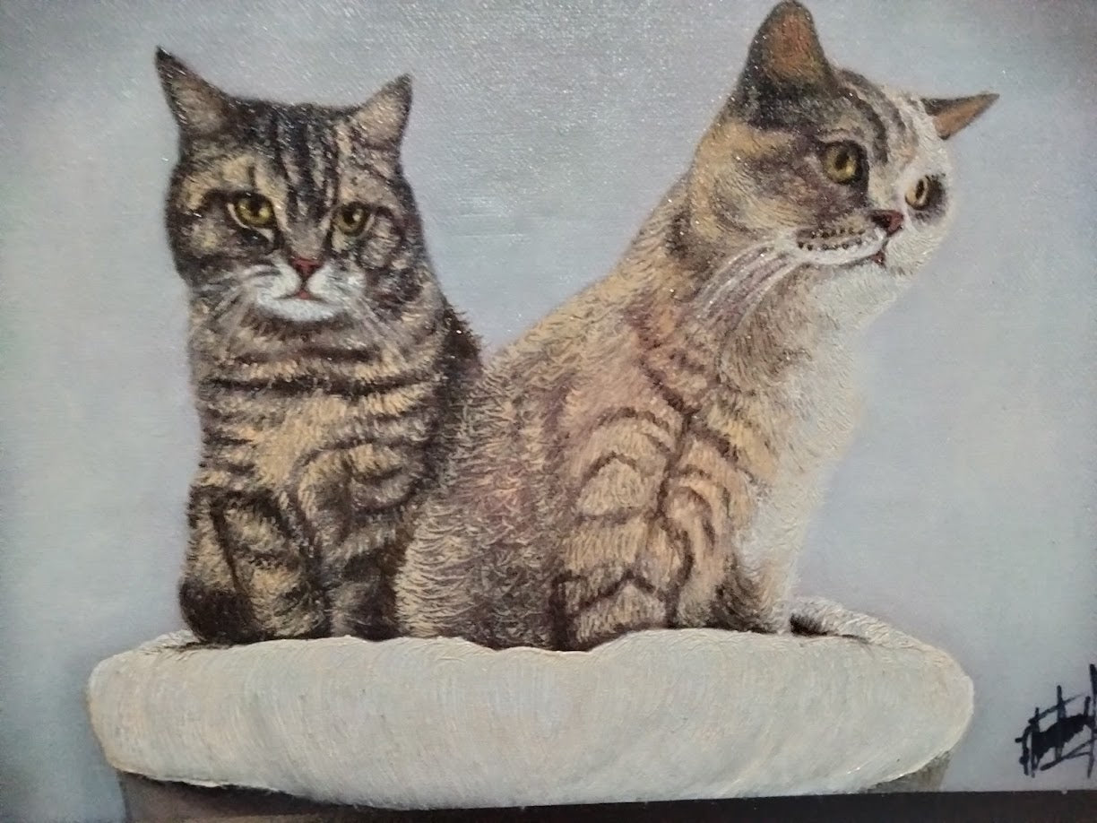 GATITOS LIENZO AL OLEO