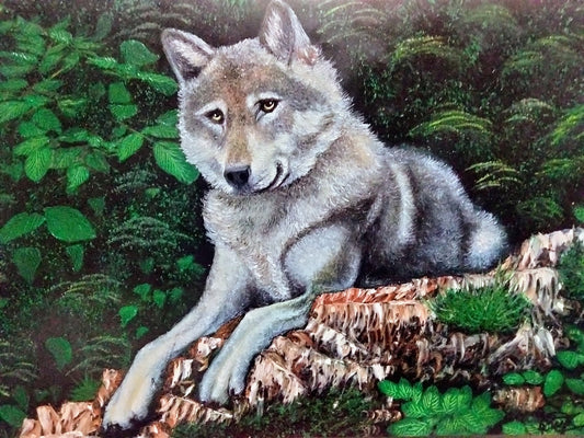 LOBO PENSANDO CARTULINA AL OLEO