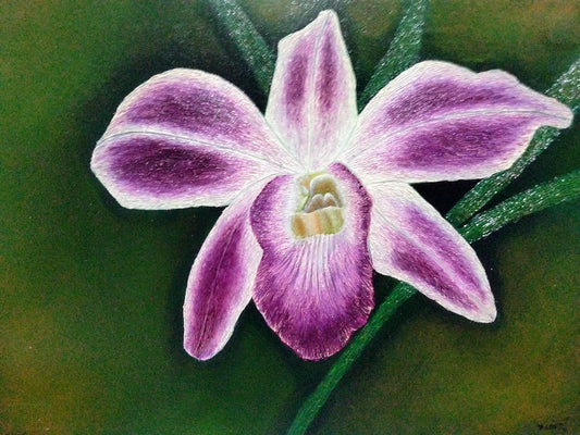 ORQUIDEA CATTLEYA  LIENZO AL OLEO