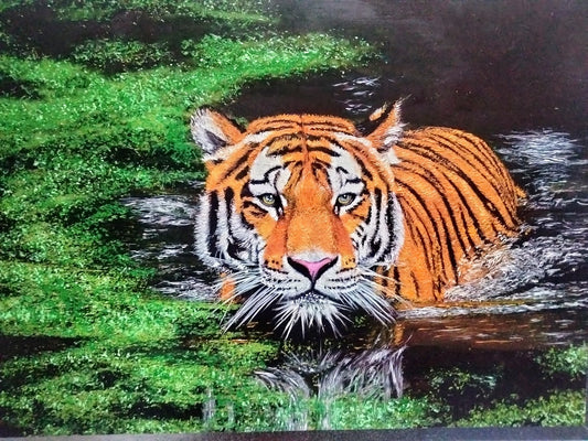 TIGRE EN AMAZONAS  CARTULINA AL OLEO