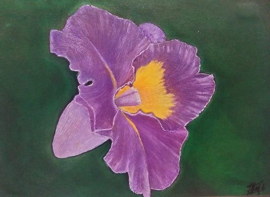 Orquidea lienzo al oleo